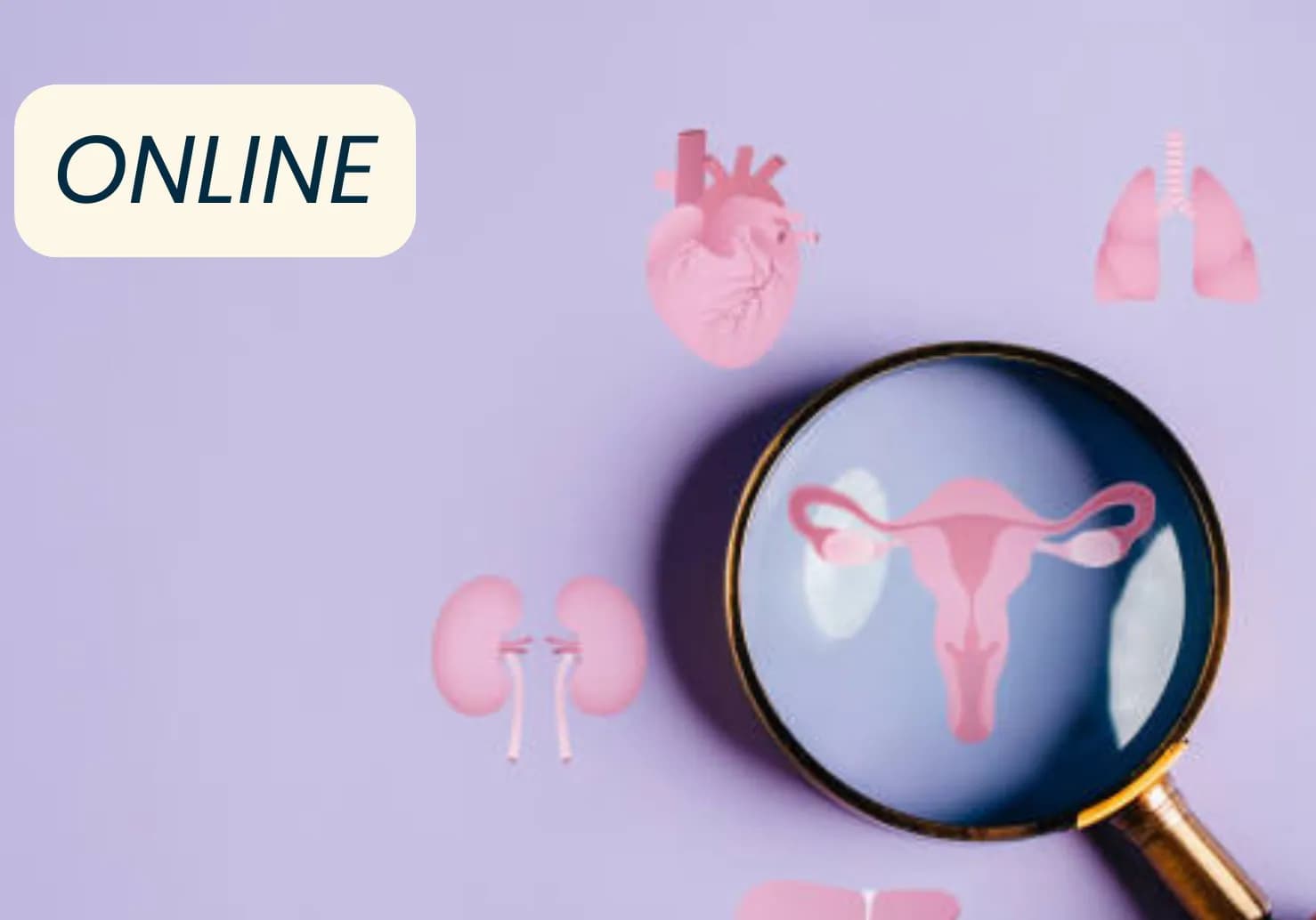 Pre-recorded webinar – Integrative and Osteopathic Approach to Perimenopause & Menopause